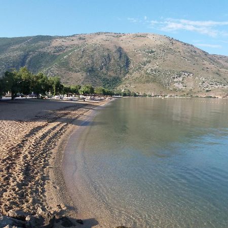 Panorama Plataria Ionio Studios&Apartments Dış mekan fotoğraf