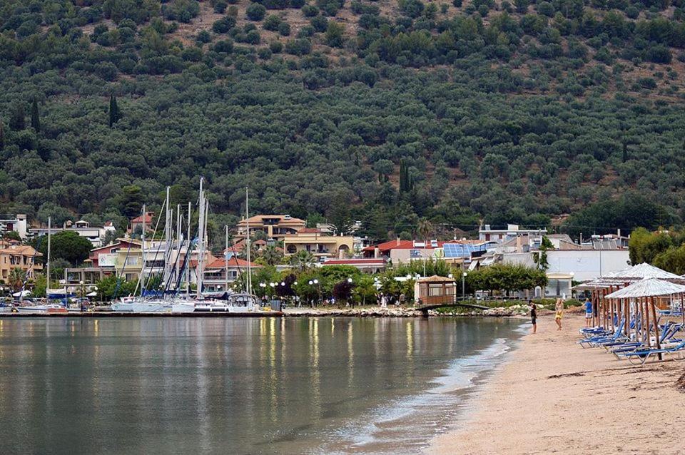 Panorama Plataria Ionio Studios&Apartments Dış mekan fotoğraf